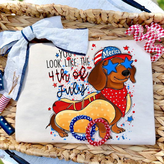 You Look Like The 4th Of July Wiener Dog Tee