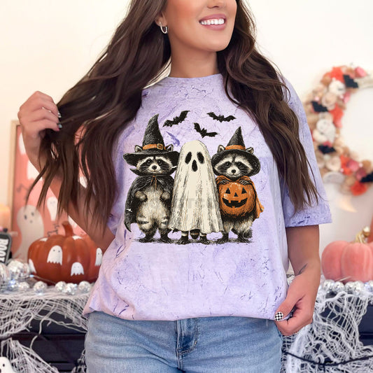 Halloween Raccoon Trio Tee