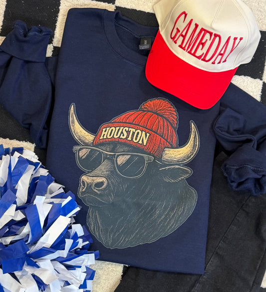 Houston Cool Mascot