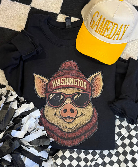 Washington Cool Mascot